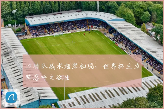 沙特队战术框架初现,世界杯主力阵容呼之欲出