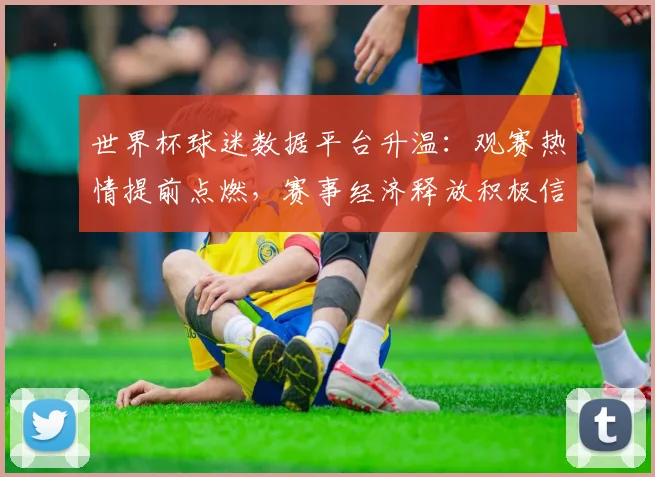 世界杯球迷数据平台升温：观赛热情提前点燃，赛事经济释放积极信号