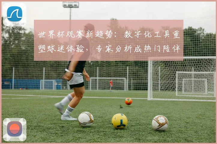 世界杯观赛新趋势:数字化工具重塑球迷体验,专家分析成热门陪伴